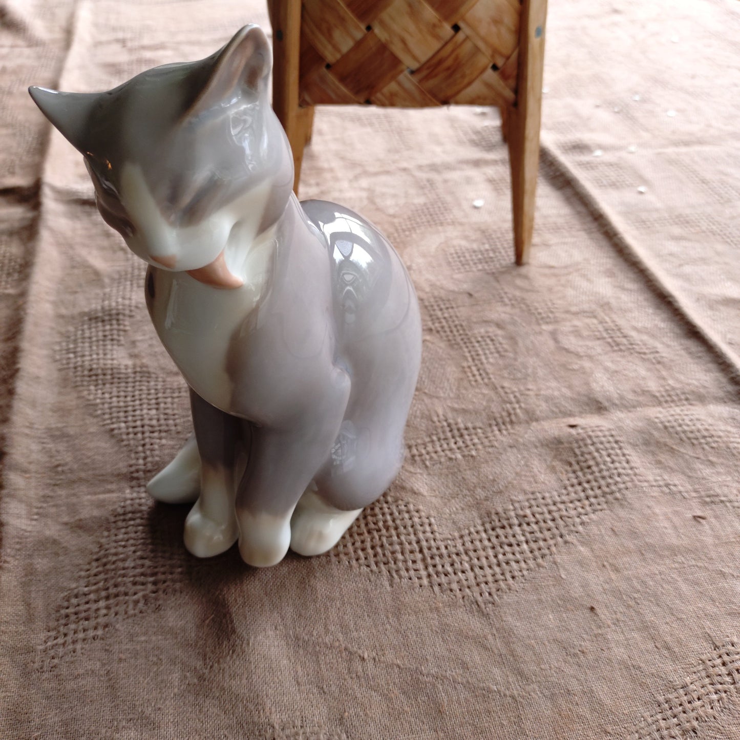 BingGrondahl 灰色貓🐈高約 19 公分，重約 460 公克