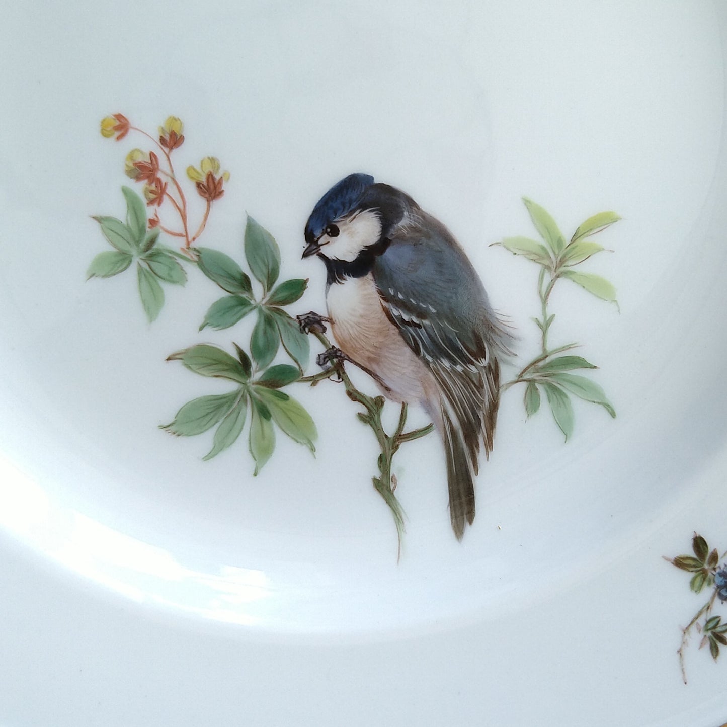 Meissenマイセン1957～1972年のドイツの鳥、ヒガラのケーキプレート18㎝D