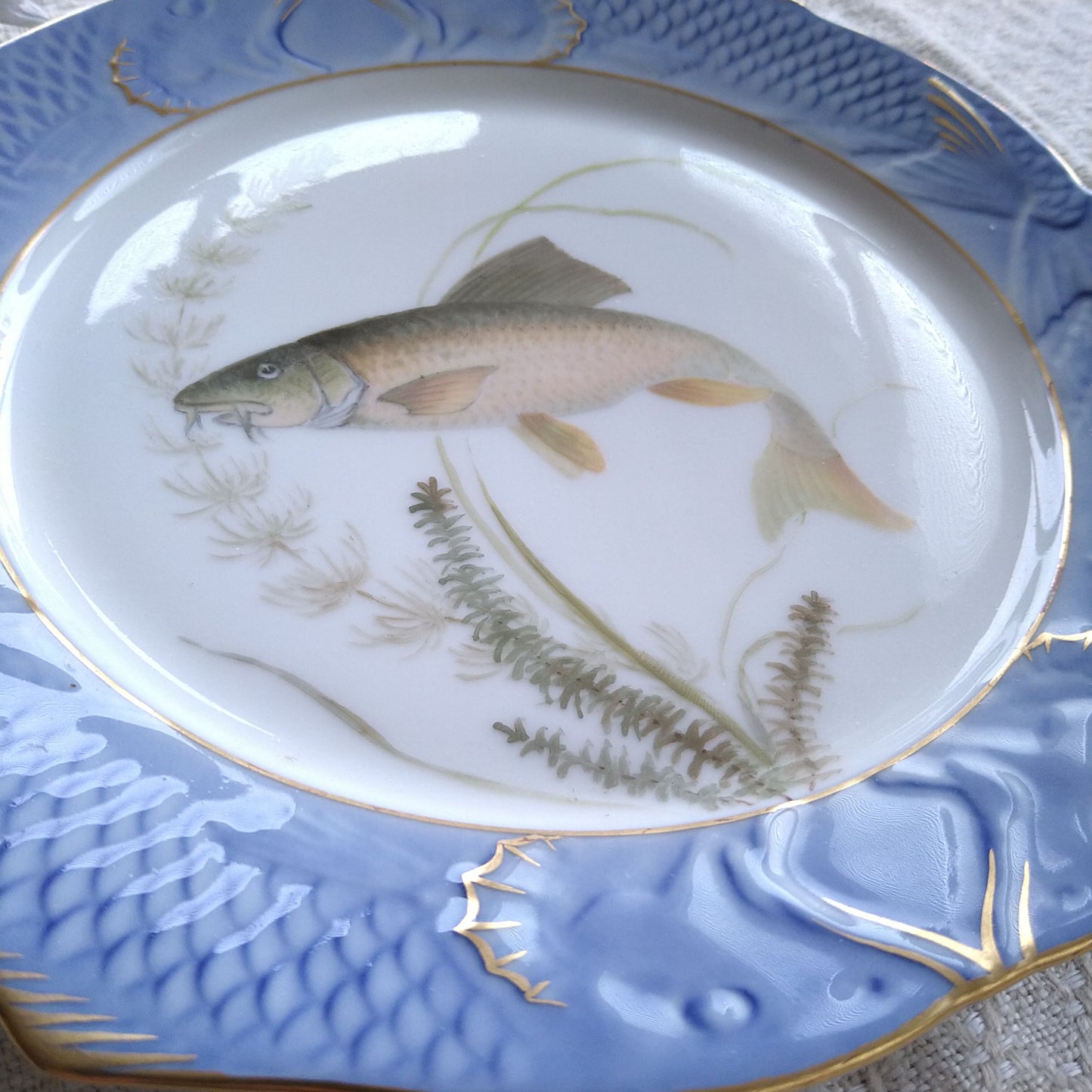 1924～1934年RoyalCopenhagenコイ亜科淡水魚バーベル🐟さかなのお皿は大きさ約22.5㎝L×22.5㎝Wです。