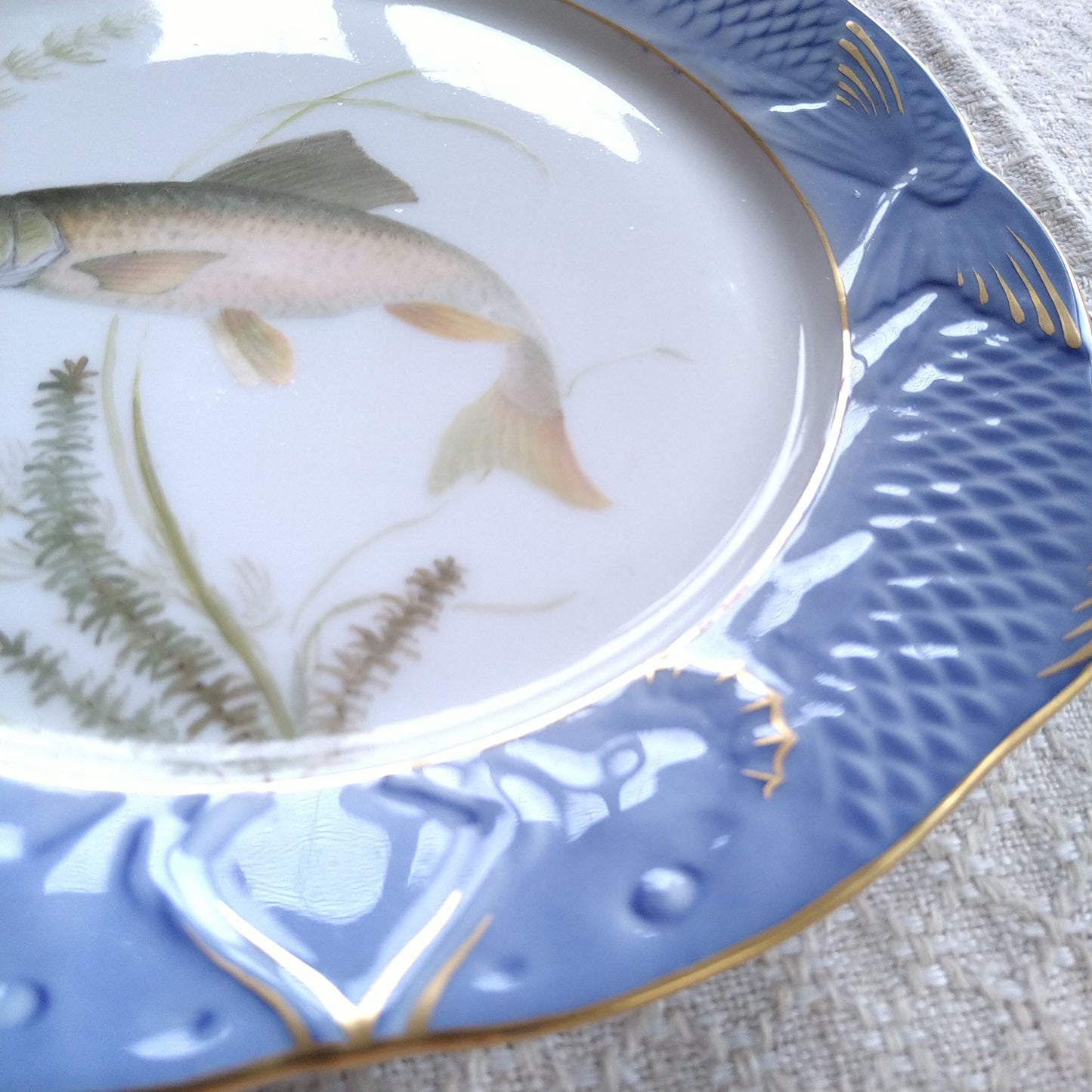 1924～1934年RoyalCopenhagenコイ亜科淡水魚バーベル🐟さかなのお皿は大きさ約22.5㎝L×22.5㎝Wです。