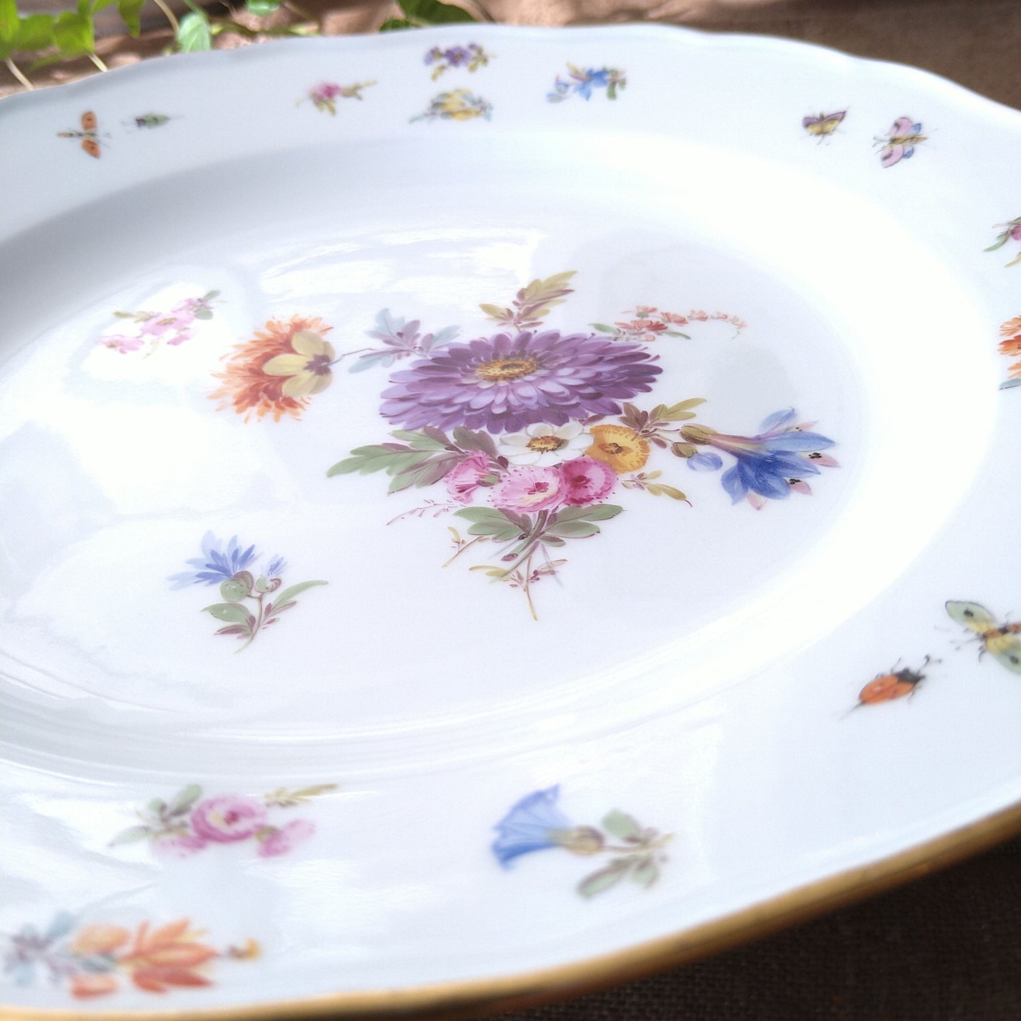 1860～1924年Meissen花と昆虫の絵 ディナープレート24㎝Dアスター/Dinnar plate