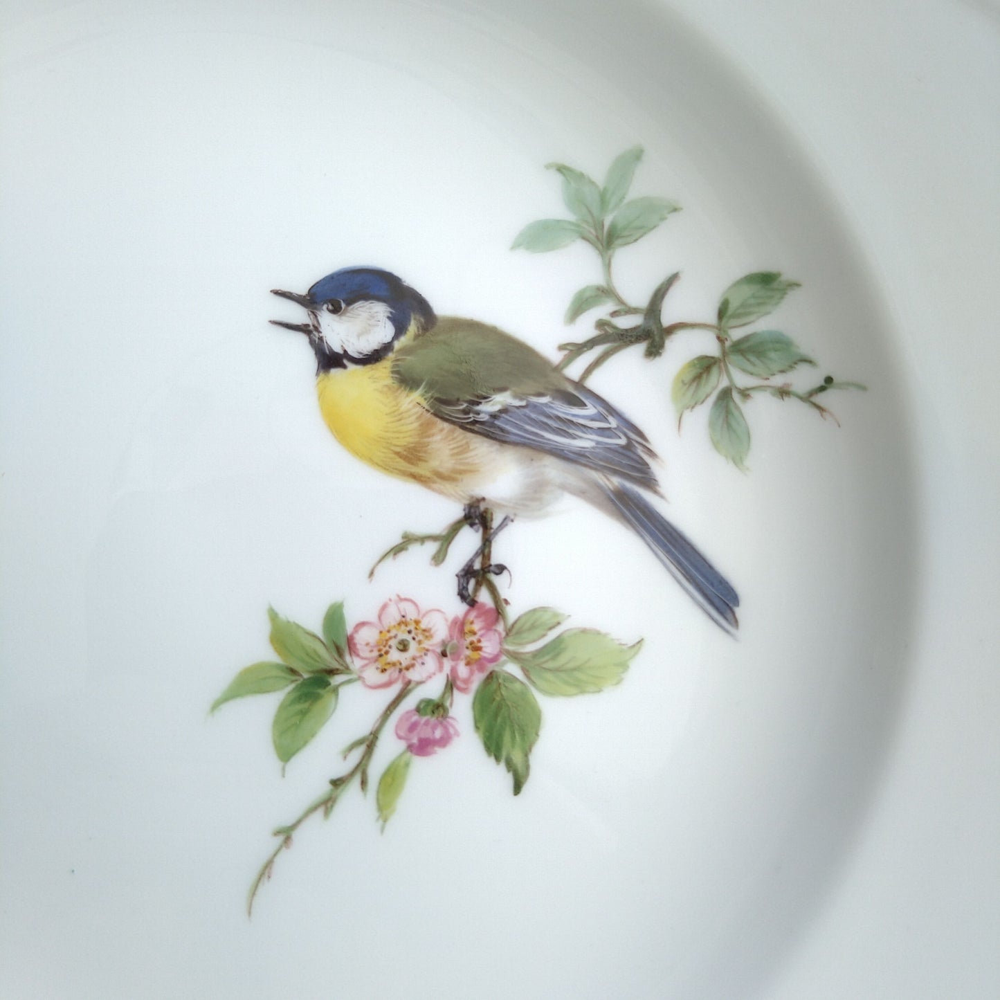 Meissenマイセン1957～1972年ドイツの鳥ヨーロッパシジュウカラのケーキプレート18㎝