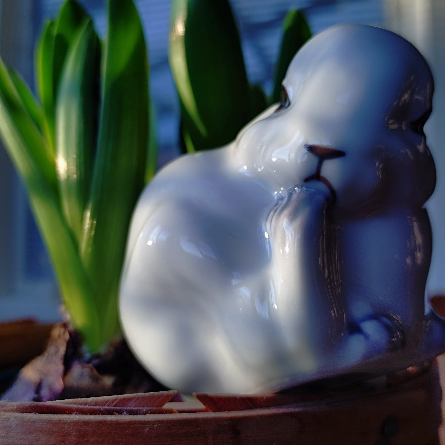 🐰Royal Copenhagen, Young Rabbit, Jeanne Grut design, approximately 7.5 cm (H) in height, model number 251, grooming its hind leg. Fits in the palm of your hand.