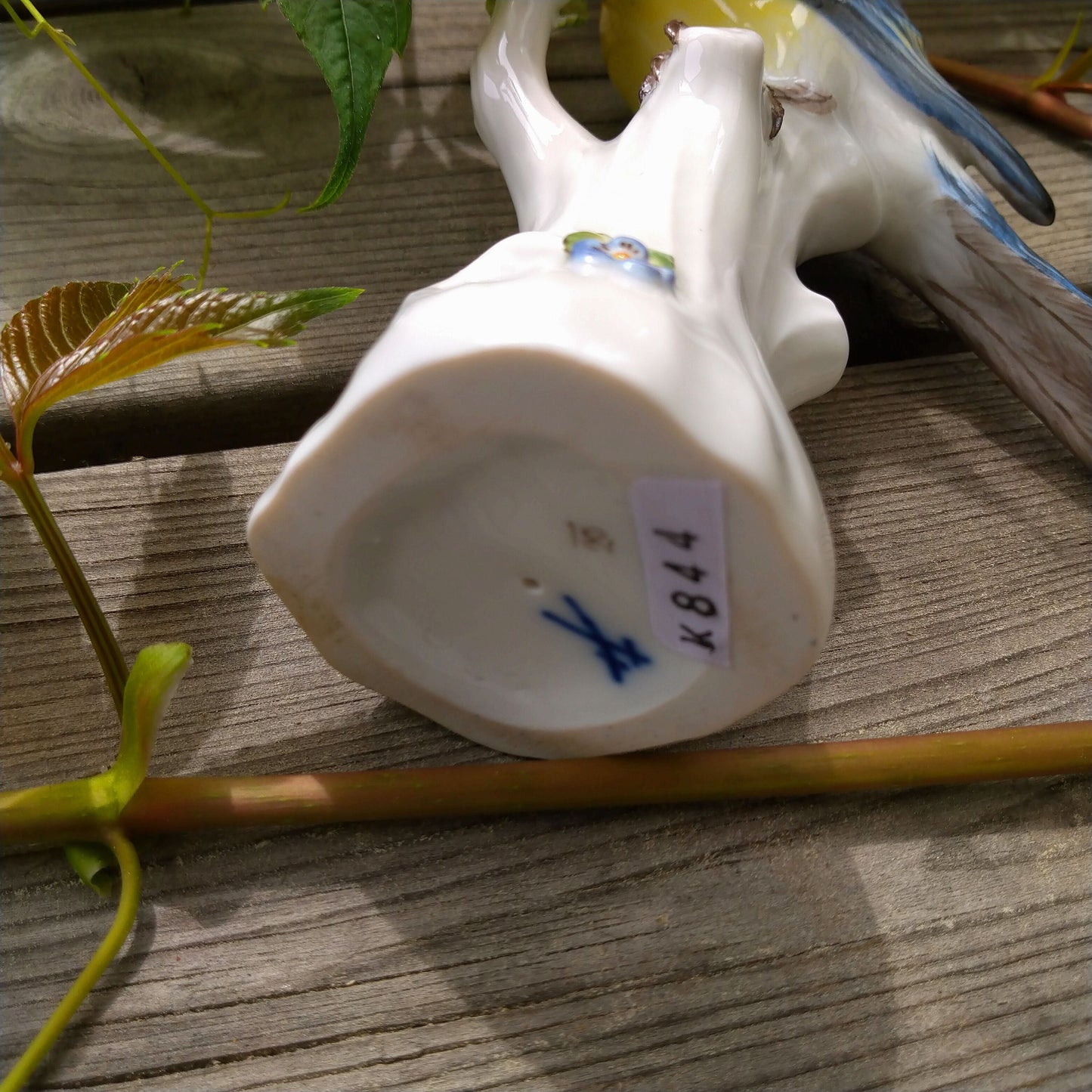 麥森 青雀