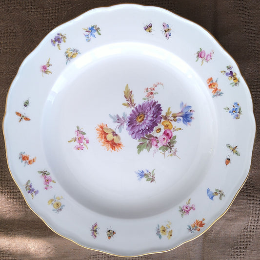 1860～1924年Meissen花と昆虫の絵 ディナープレート24㎝Dアスター/Dinnar plate