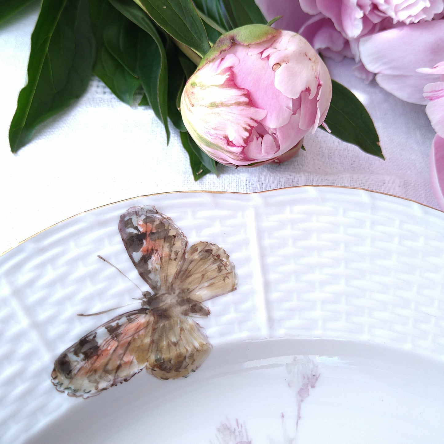 1924年以前Meissenのアザミと蝶🦋自然主義絵付けのお皿は直径約25㎝D/Alt-ozierパターン