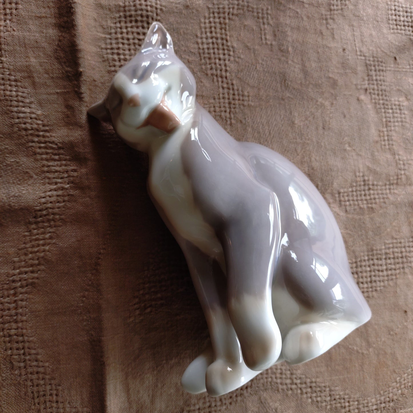 BingGrondahl 灰色貓🐈高約 19 公分，重約 460 公克