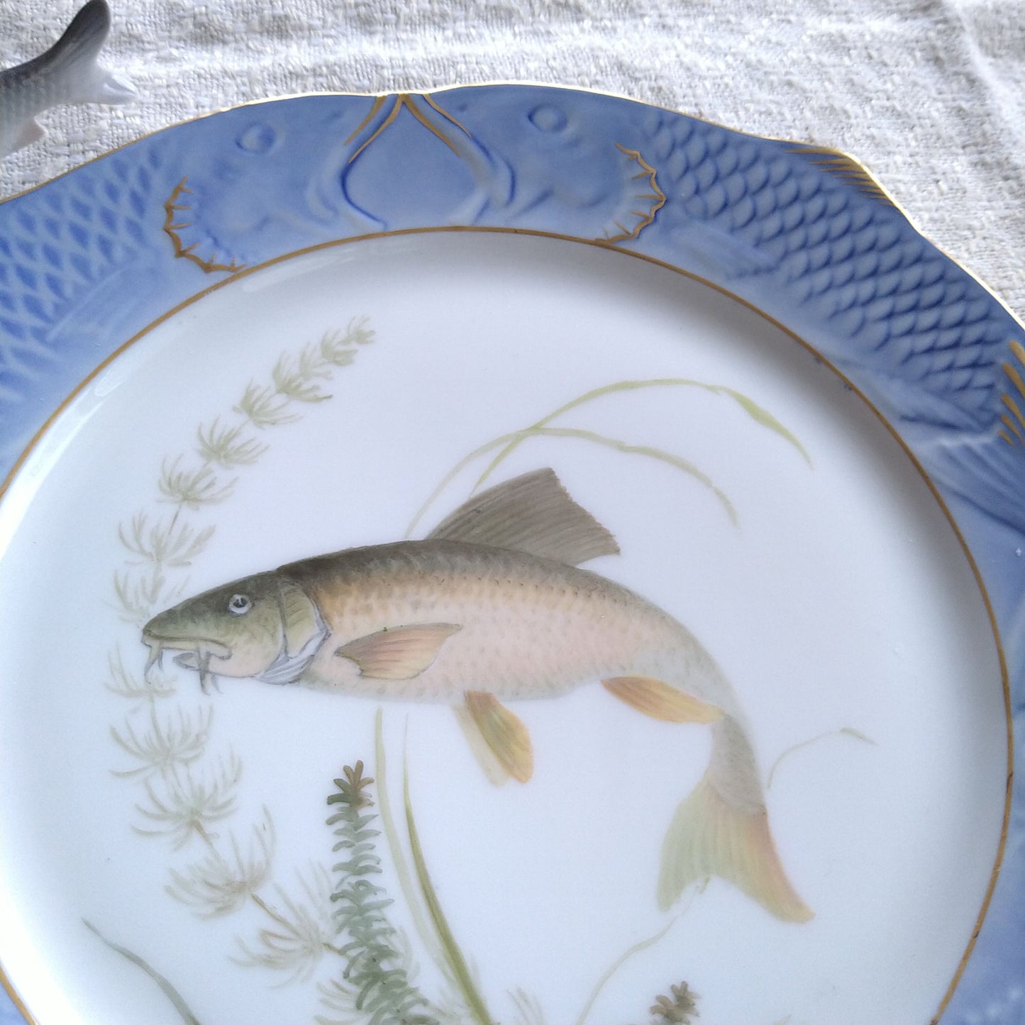 1924～1934年RoyalCopenhagenコイ亜科淡水魚バーベル🐟さかなのお皿は大きさ約22.5㎝L×22.5㎝Wです。