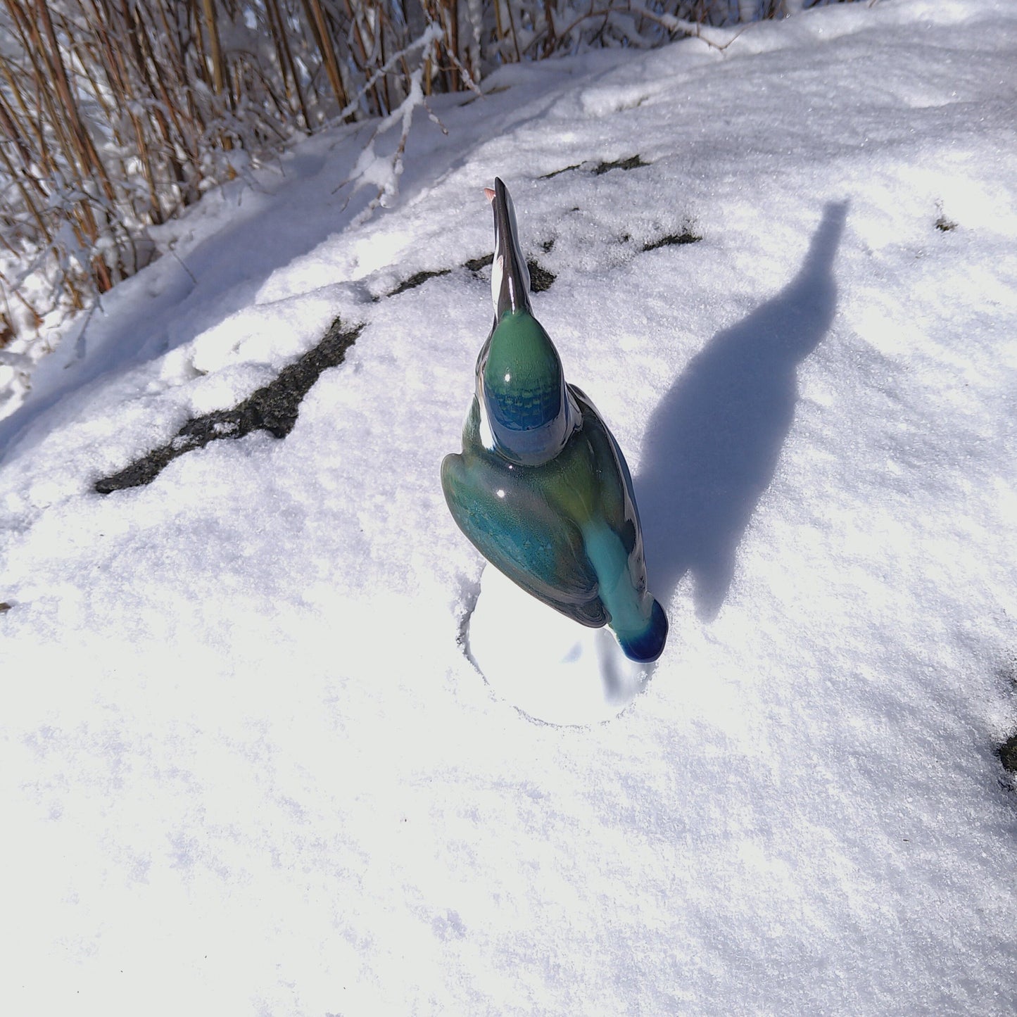 KPMベルリンの魚をくわえたカワセミ高さ約19㎝H/KPM Kingfisher with a fish