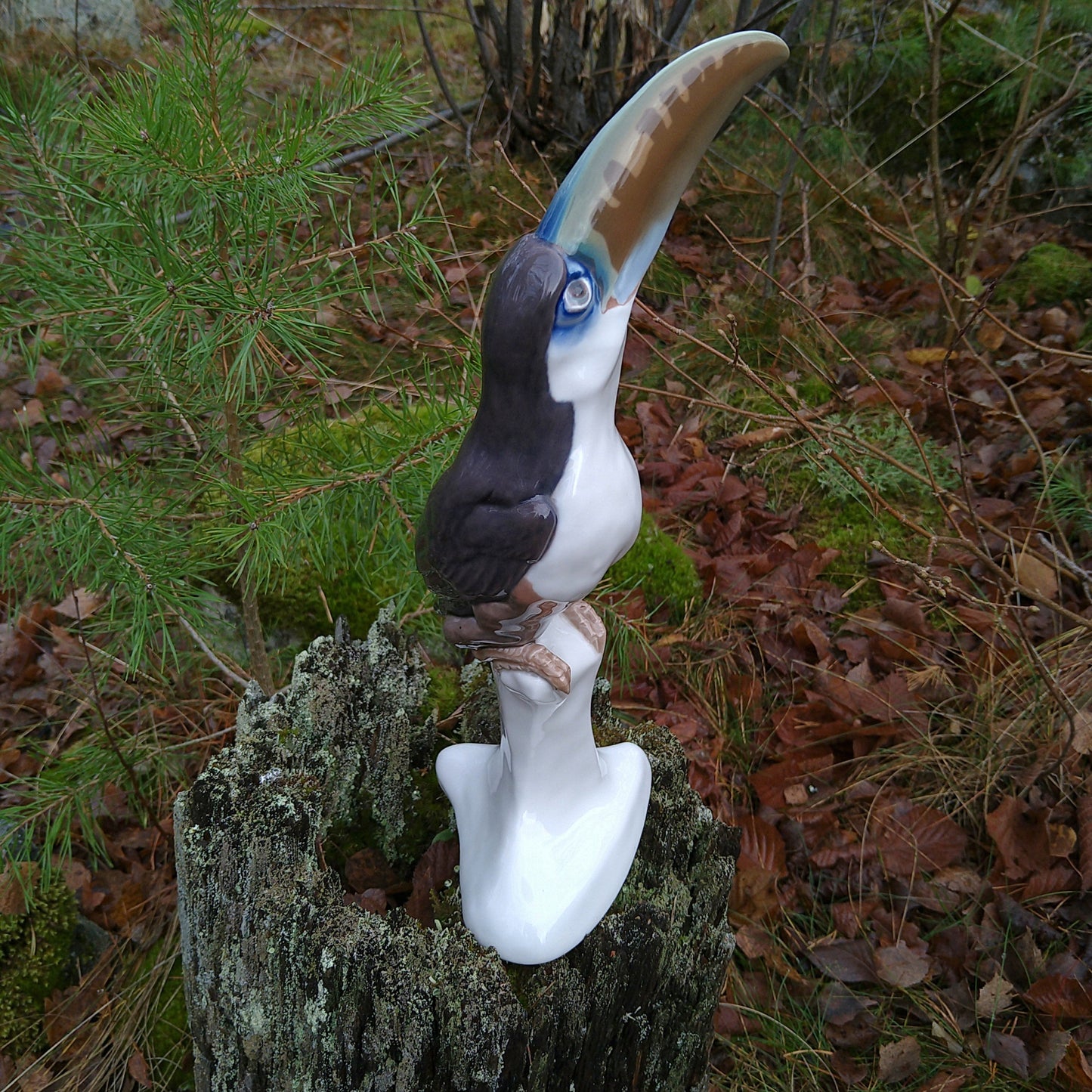 Circa 1909-1920 Meissen Toucan (model by Paul Walther) / Jugendstil / Height approx. 30.5 cm