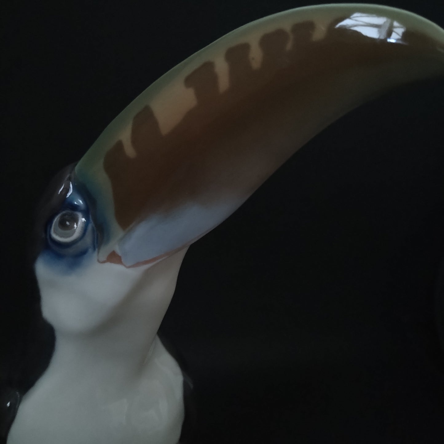 Circa 1909-1920 Meissen Toucan (model by Paul Walther) / Jugendstil / Height approx. 30.5 cm