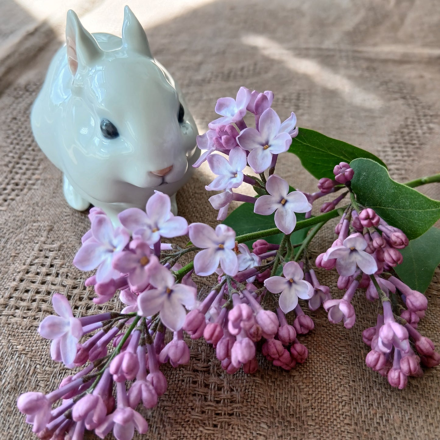🐰RoyalCopenhagenウサギの仔JeanneGrutデザイン高さ約6.8㎝H、型番号4705前足を揃えてあなたを見つめるシロウサギちゃん👁👁片手乗りサイズ